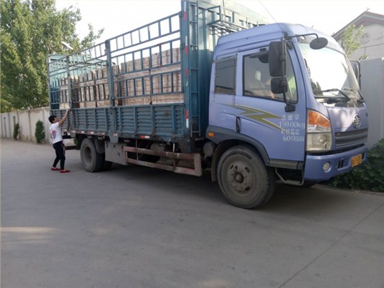 瑞达3.jpg 瑞达3.jpg