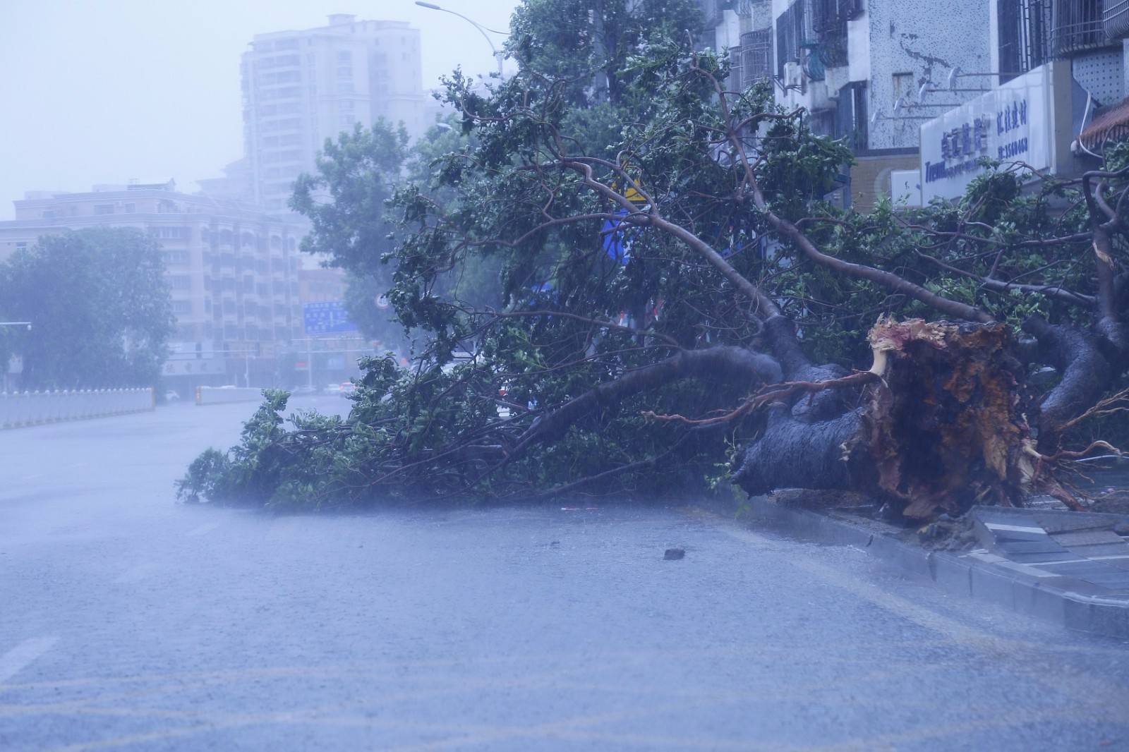 山竹来袭3